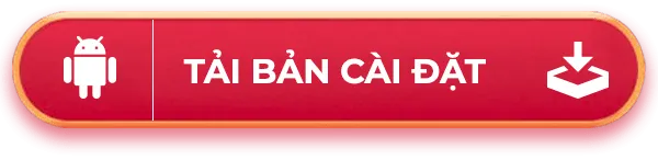 bản cài đặt