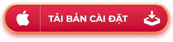 bản cài đặt